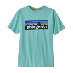 Patagonia Regenerative Organic Cotton P-6 Logo Kids Tee
