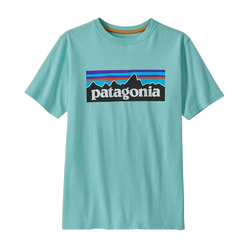 Patagonia Regenerative Cotton P6 Logo Youth Tee
