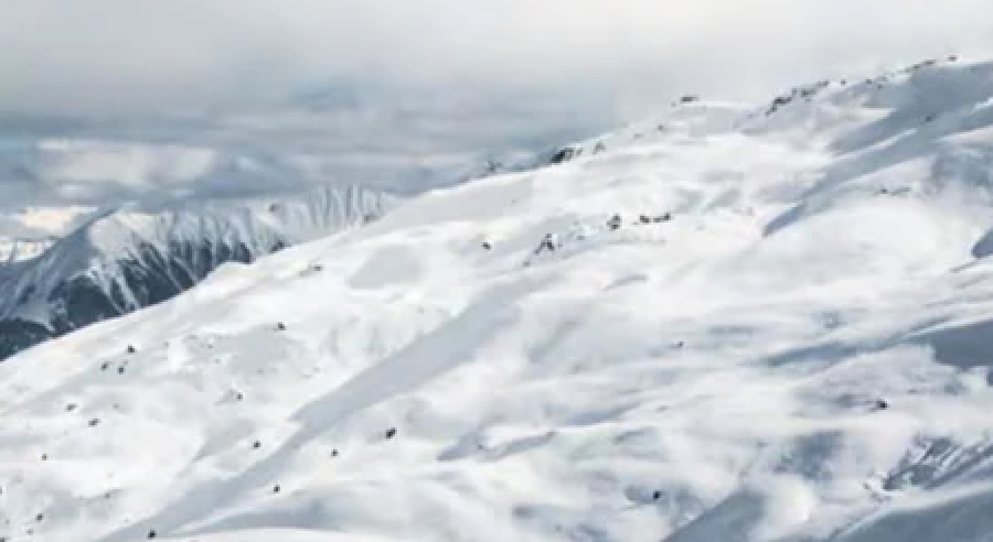 Backcountry