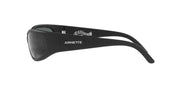 Arnette Catfish Sunglasses