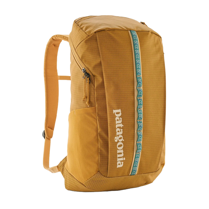 Patagonia Black Hole 25L Pack