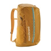 Patagonia Black Hole 25L Pack