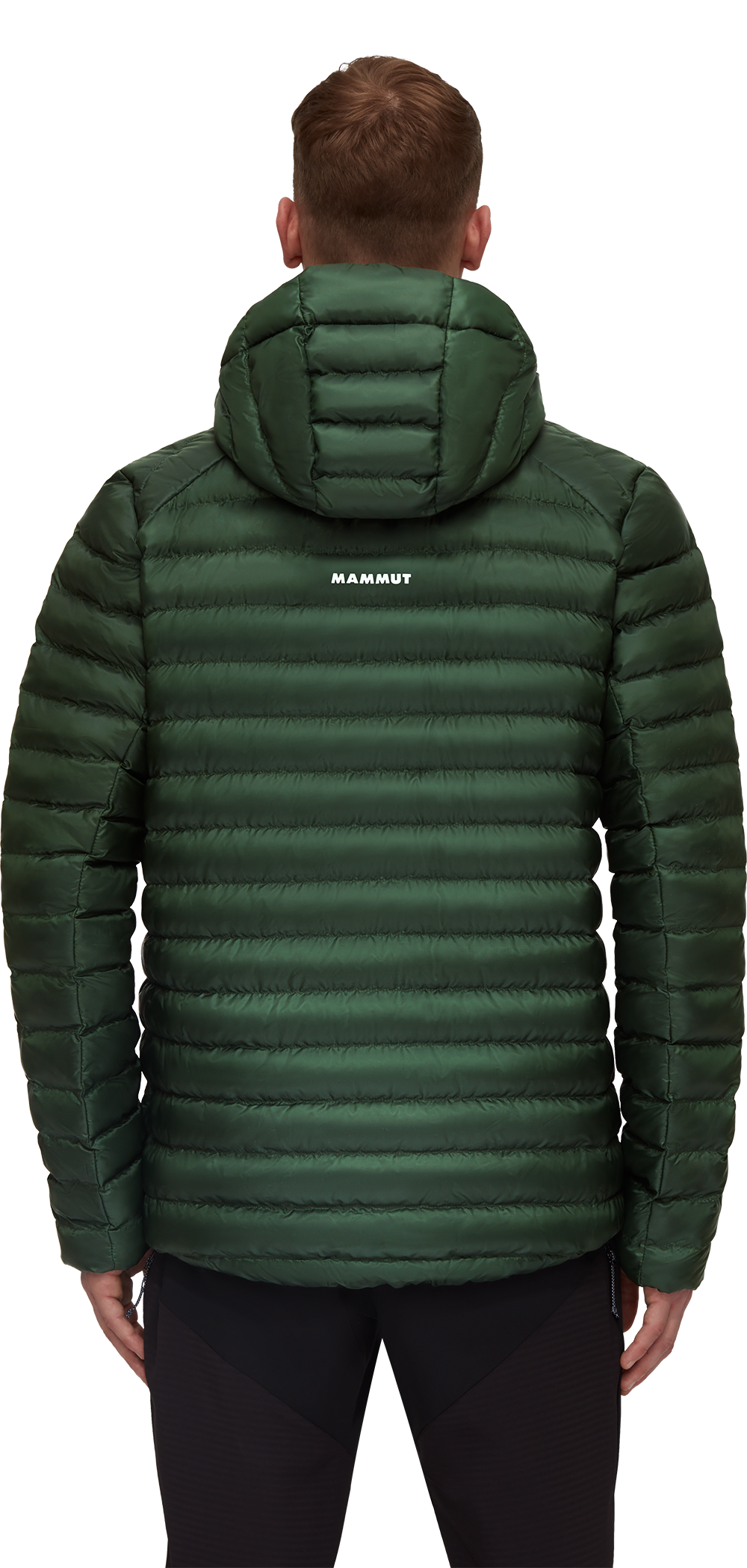 Mammut 2024 Albula Ins Hooded Jacket