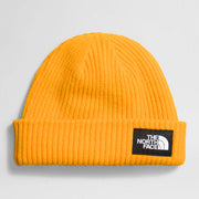 The North Face Salty Dog Beanie