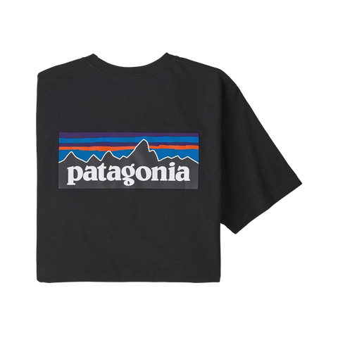 Patagonia P6 Logo LS Tee