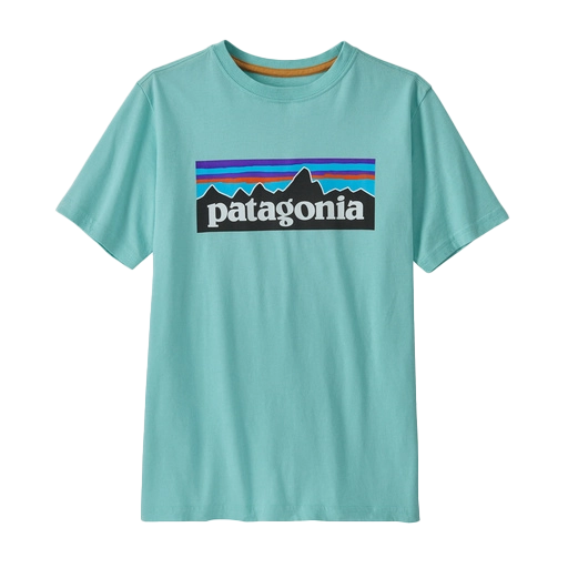 Patagonia Regenerative Cotton P6 Logo Youth Tee