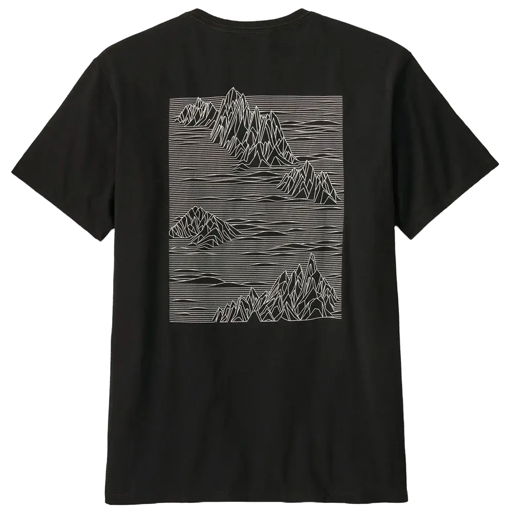 Patagonia Strataspire Responsibili-Tee